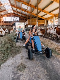Eltern fahren mit ihren Kindern auf Tret-Traktoren durch den Kuhstall.