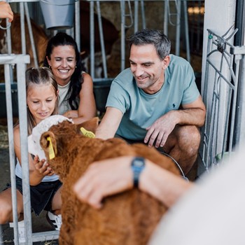 Eine Familie hockt vor einem Kalb und streichelt es.