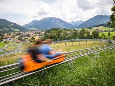 Eine Rodel fährt die Sommerrodelbahn hinunter.