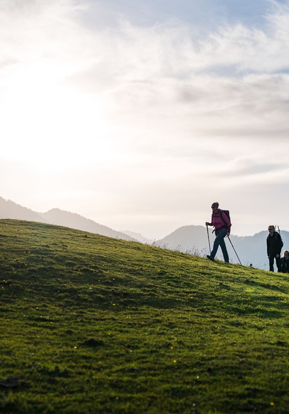 Eine Gruppe Wanderer geht einen Hügel hinauf.