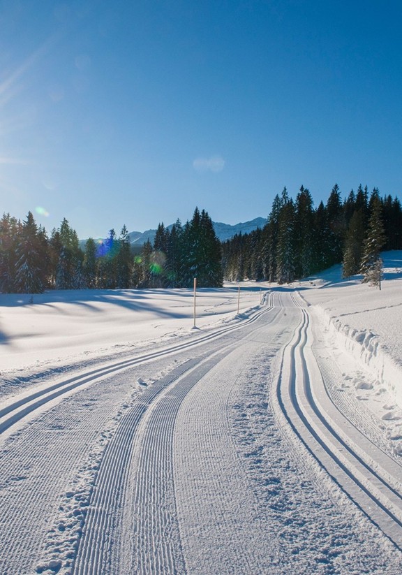 Langlaufloipe und geräumter Weg in einer winterlichen Landschaft.