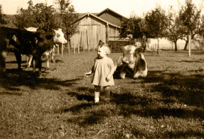 Familienchronik, Huberhof Ollerding