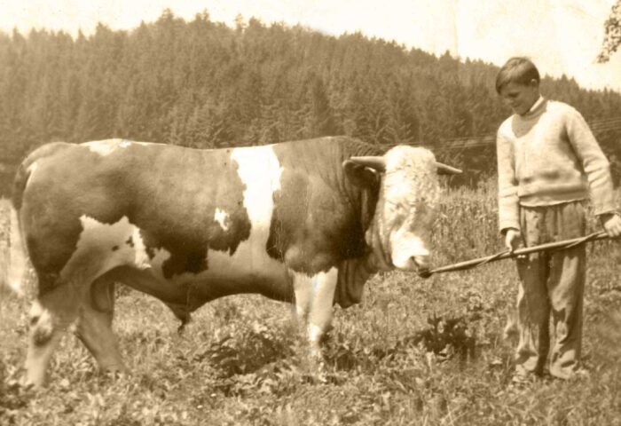 Familienchronik, Huberhof Ollerding