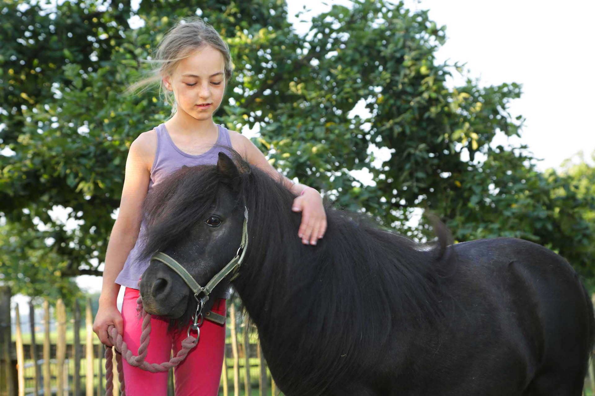 Tiere, Pony, Huberhof Ollerding