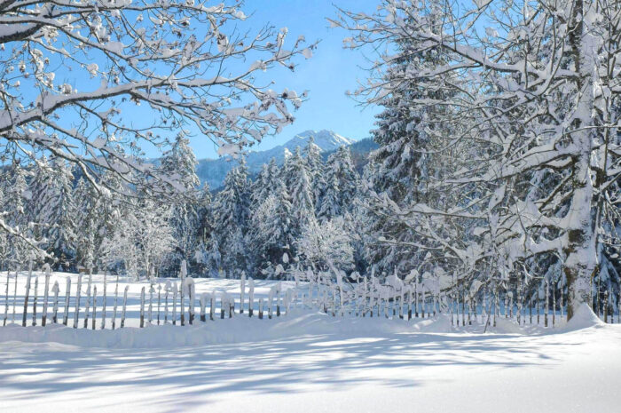 Winterspaziergang Langlauf Winterwald Bayern