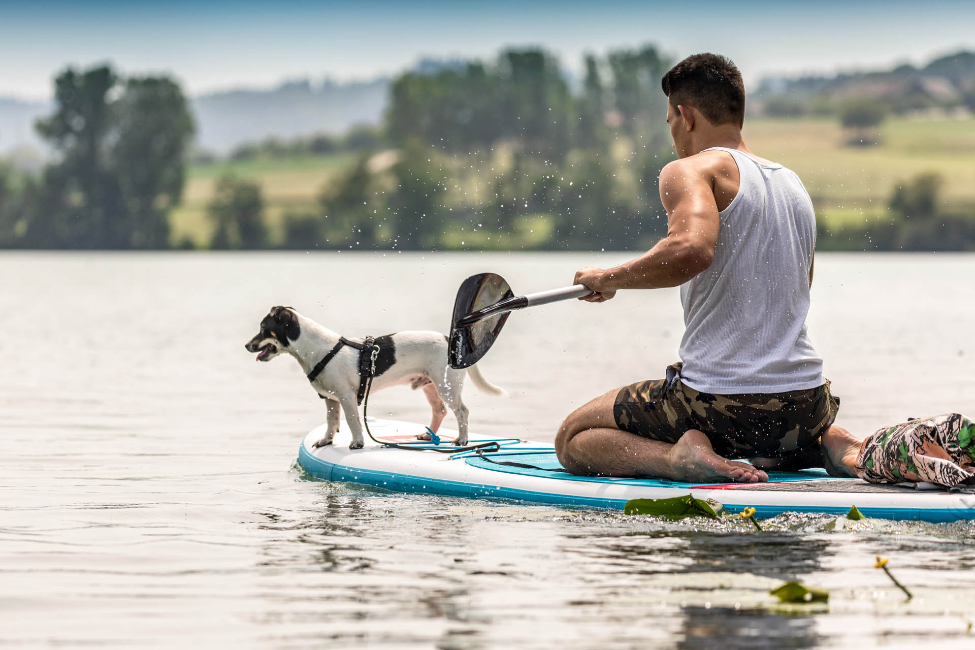 Huberhof Ollerding, Seen und Baeder, stand up paddler mit Hund