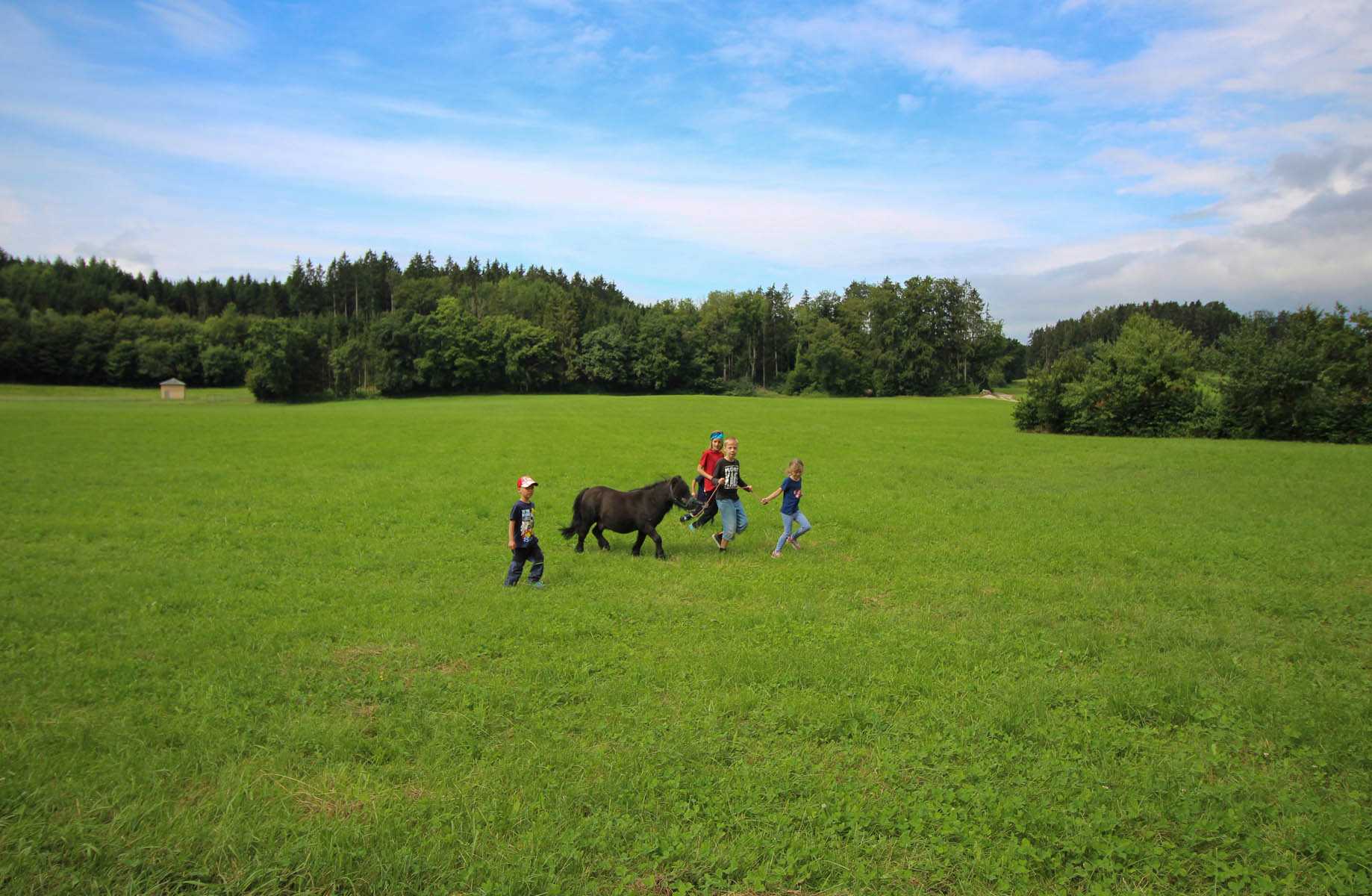 Huberhof Ollerding, Spaziergang mit Pony